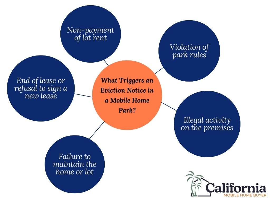 Infographic - What Triggers an Eviction Notice in a Mobile Home Park?